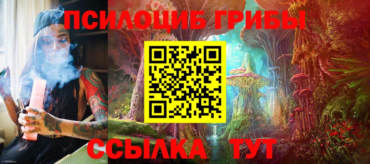 Псилоцибиновые грибы прущие грибы  Вход с VPN  Ливны 